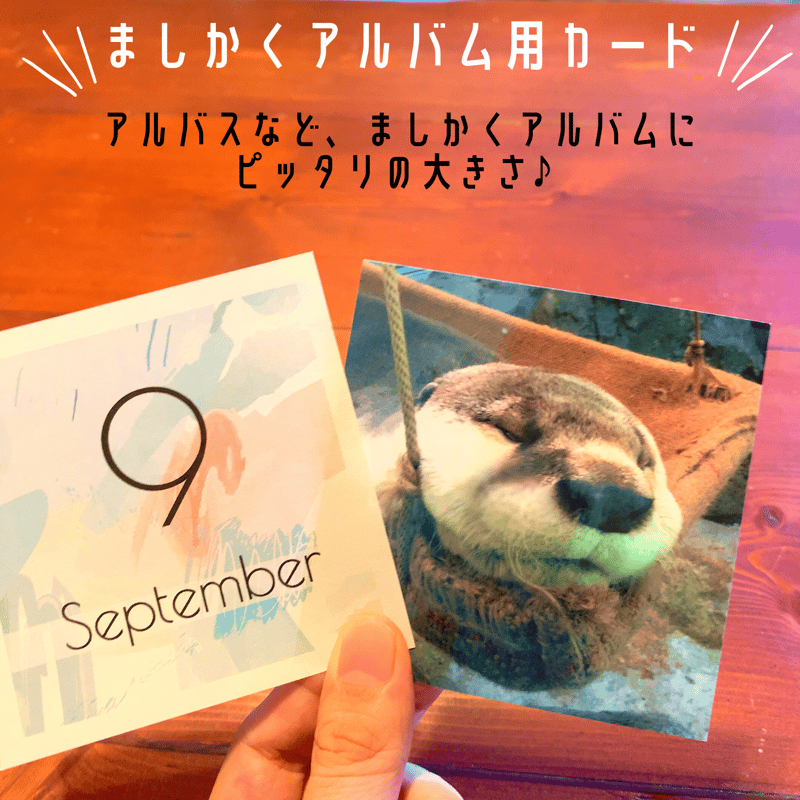 まどかさま専用ページ AMBIDEX Store ○○ラインフラワープリント 裾フリルマキシ