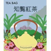 〈日本〉知覧紅茶 ティーバッグ