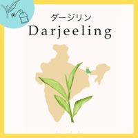 ＜インド＞　ダージリン　リーフorティーバッグ