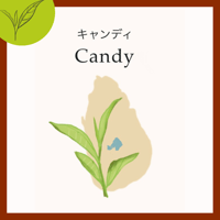 ＜スリランカ＞　キャンディ　リーフのみ