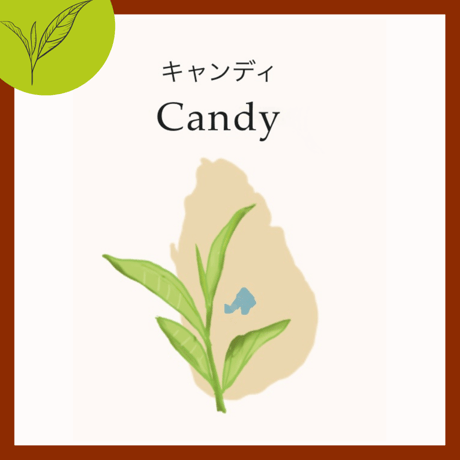 ＜スリランカ＞　キャンディ　リーフのみ
