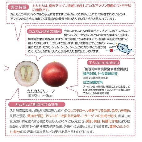 カムカムシー　100%カムカム果汁（ストレート） 200ml