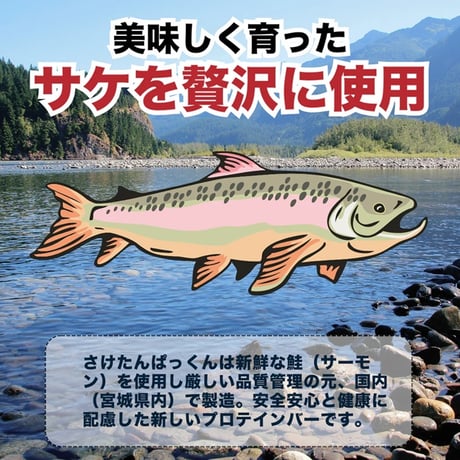 ダイエット中の間食に最適｜さけたんぱっくん【1本】低カロリー・高たんぱく｜送料別