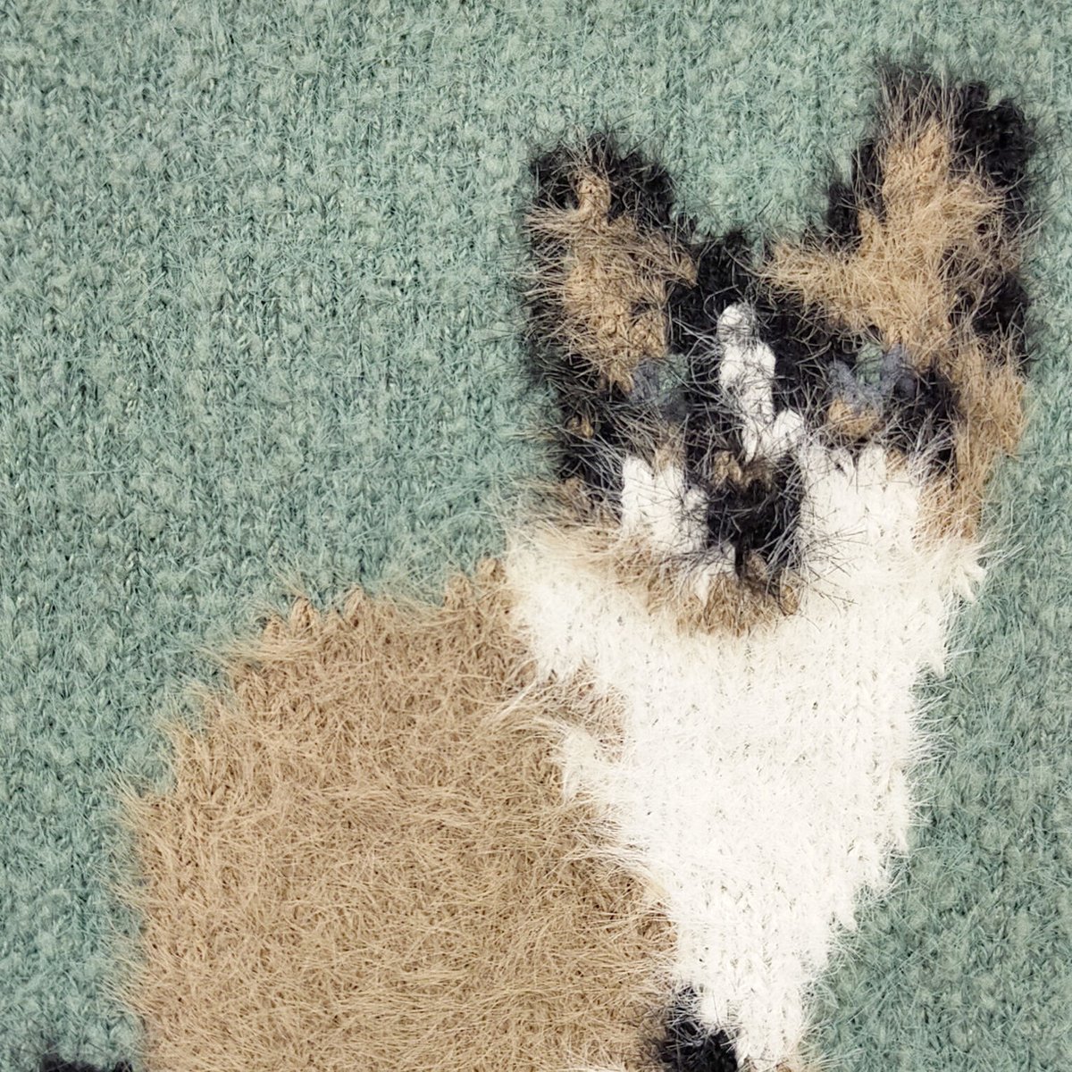 もふもふ mofusand ガラスキャニスター(さめたち) | mofusandもふもふ