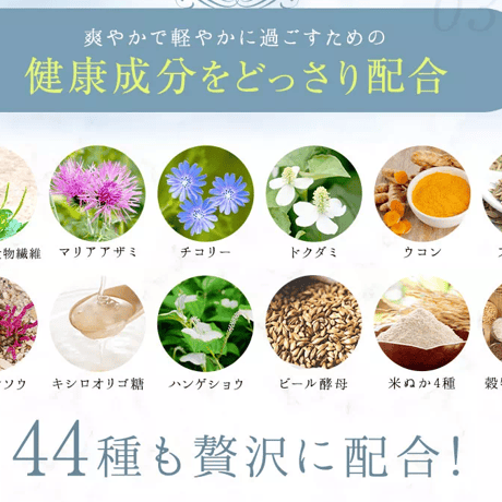 【さらにお得な定期便】ms line（エムエスライン）30本セット（1～2ヶ月分）
