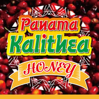 パナマ カリテア ハニー 80g