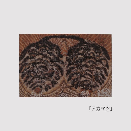 美術家・佐藤香の「飾れる絵はがき」シリーズ│全10種類