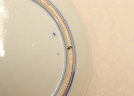 明治前期色絵牡丹図縁立ち5寸皿