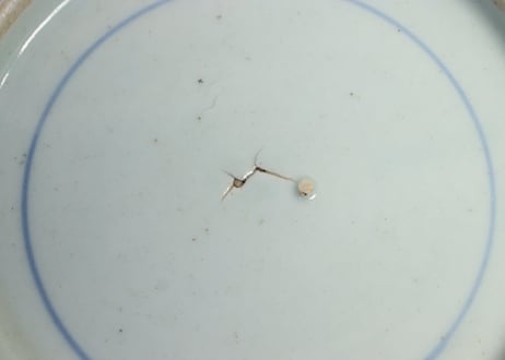 江戸中期染付牡丹図7寸皿 ニュウ