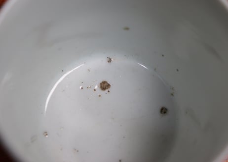 江戸中期染付氷裂に撫子図猪口①フリモノ