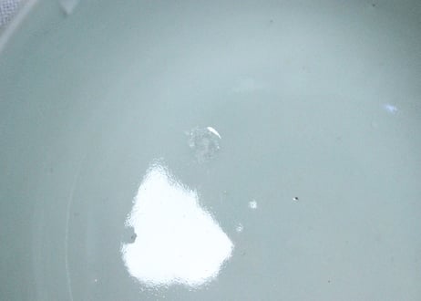 江戸後期染付柘榴と菊図蒸茶碗　フリモノ
