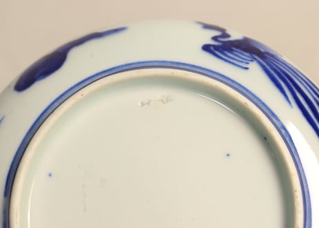 明治前期色絵龍と貝尽くし図小皿①少擦れ