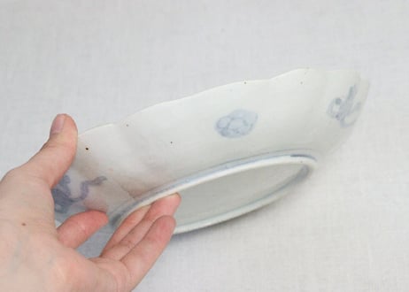 明治前期色絵杜若図7寸皿　ノミホツ