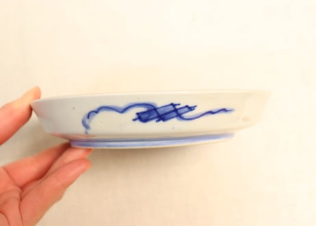 明治前期色絵牡丹と菊図縁立5寸皿