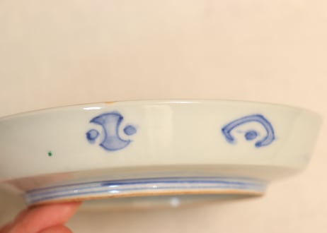 明治前期色絵牡丹図縁立ち5寸皿