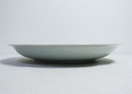 江戸幕末染付山水図ダミ縁尺皿