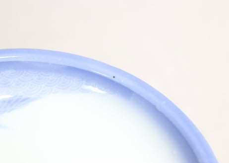 明治後期～大正染付桐図小皿