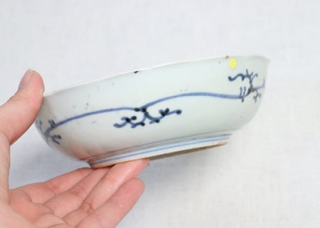江戸中期染付雪輪に芦図なます皿　ノミホツ