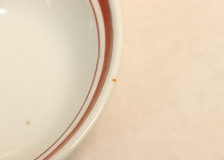 昭和戦前色絵梅図蓋付丼②　黒点