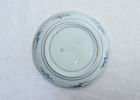江戸中期染付水仙図6寸皿　少フリモノ