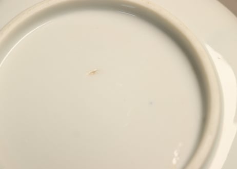 明治後期~大正銅判松と月図5寸皿