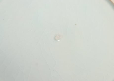 江戸中期染付岩と植物図6.5寸皿 甘手,小ホツ