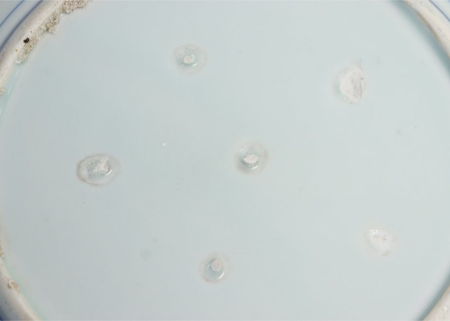 6482e25cd4932614b82fc335