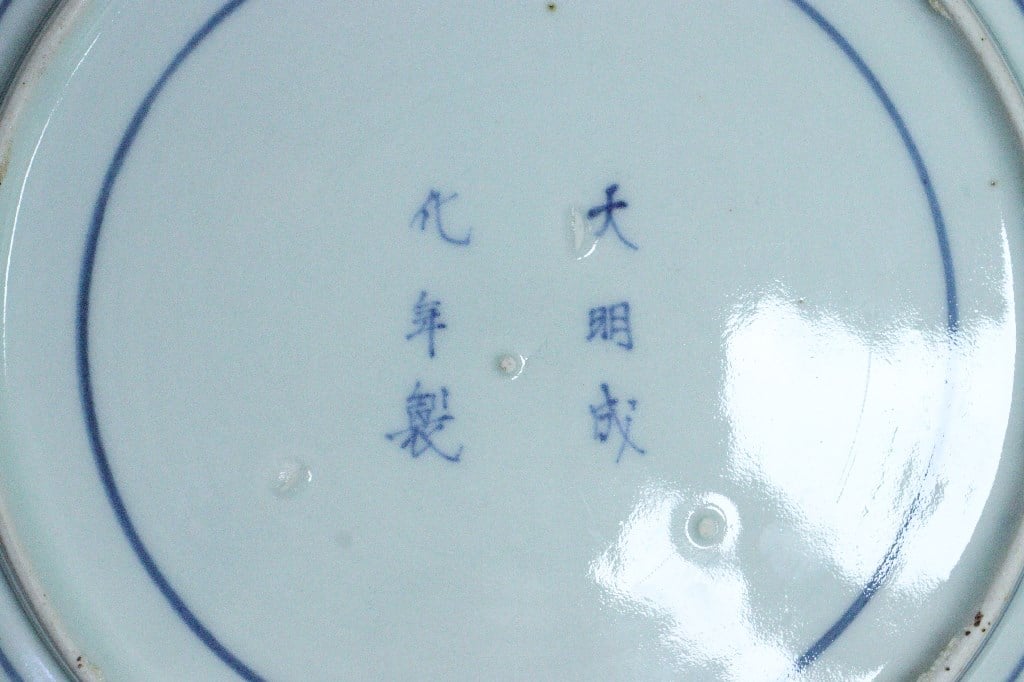 江戸中期コンニャク印判団龍と菊図7寸皿① 見込み落ちかたつき,ニュウ