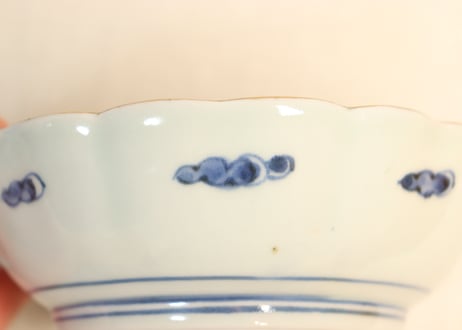 江戸後期色絵秋海棠図なます皿①