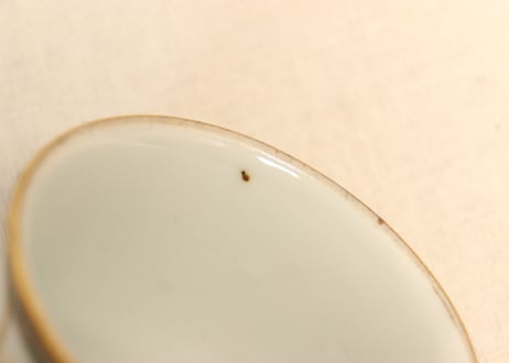 明治後期～大正九谷色絵富士と公家人物と梅図向付　黒点