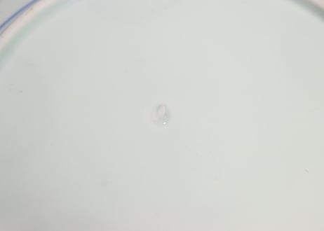 明治前期色絵牡丹と山葡萄図7寸皿
