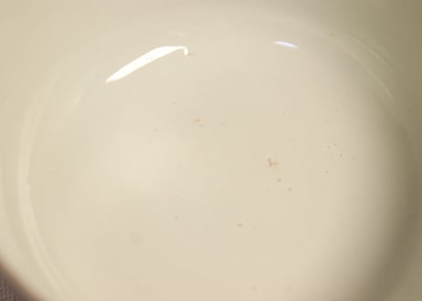 明治前期色絵牡丹と扇に春蘭図蒸茶碗② 少甘手
