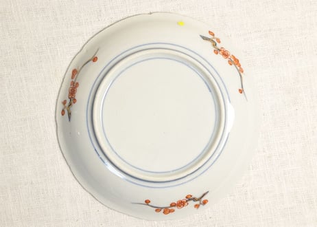 明治前期色絵梅と福寿草図6寸皿 ノミホツ