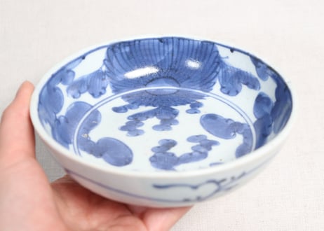 江戸中期染付菊図なます皿①甘手,小ホツ