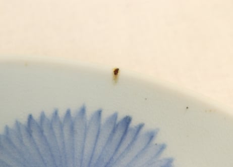 江戸後期染付流水に菊図9寸皿②フリモノ,少甘手