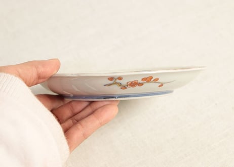 明治前期色絵梅と福寿草図6寸皿 ノミホツ
