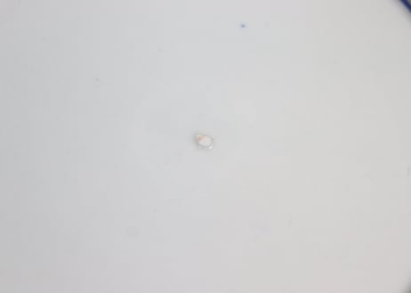 明治前期金彩染付山水図7寸皿