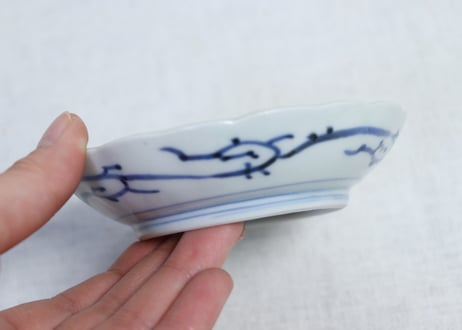 江戸幕末染付蛸唐草図通り物小皿