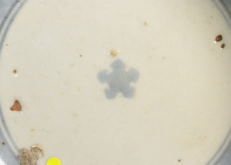 江戸中期染付二方竹図くらわんかなます皿 フリモノ,がたつき