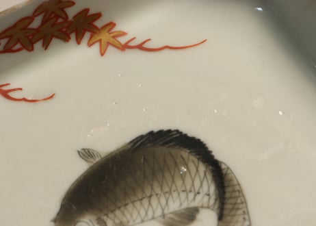明治前期色絵鯉図角皿②釉切れ,少かたつき