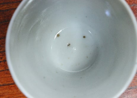 江戸中期染付立草図小猪口　5客組