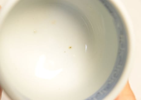 江戸幕末染付桜図向付 五客組