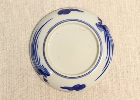 明治前期色絵龍と貝尽くし図小皿①少擦れ