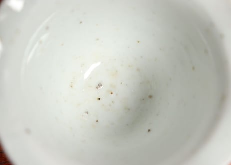 江戸中期柿右衛門白磁輪花縁向付➁ フリモノ