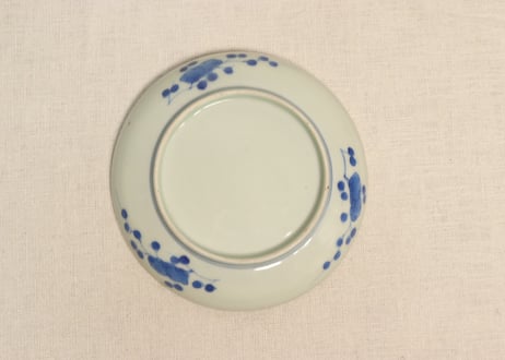 江戸幕末線描き草花図5寸皿②　かたつき
