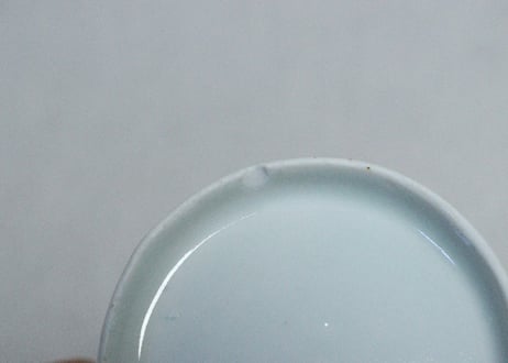 江戸後期染付柳に牡丹図広東型猪口③　高台ホツ