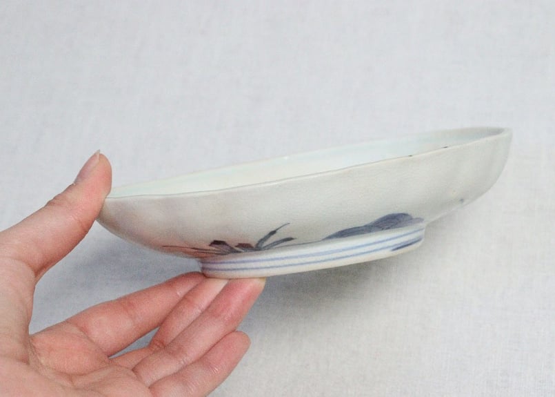 江戸中期染付貝尽くし鮑型皿 甘手 | 吉祥寺PukuPuku