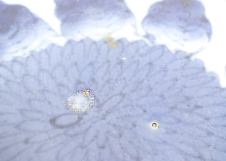 江戸後期染付流水に菊図9寸皿②フリモノ,少甘手