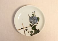 明治後期~大正色釉鉄絵色釉菊図5寸皿