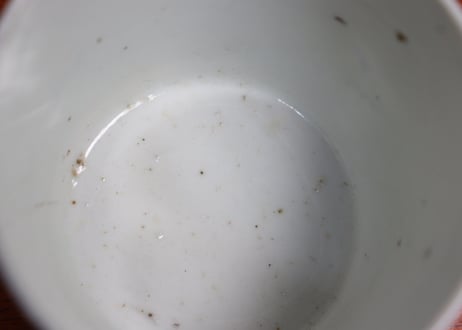 江戸中期染付氷裂に撫子図猪口③フリモノ